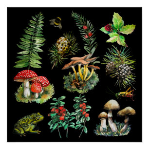 Forest, wild mushrooms poster