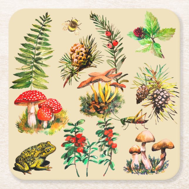 Forest, wild mushrooms square paper coaster (Front)