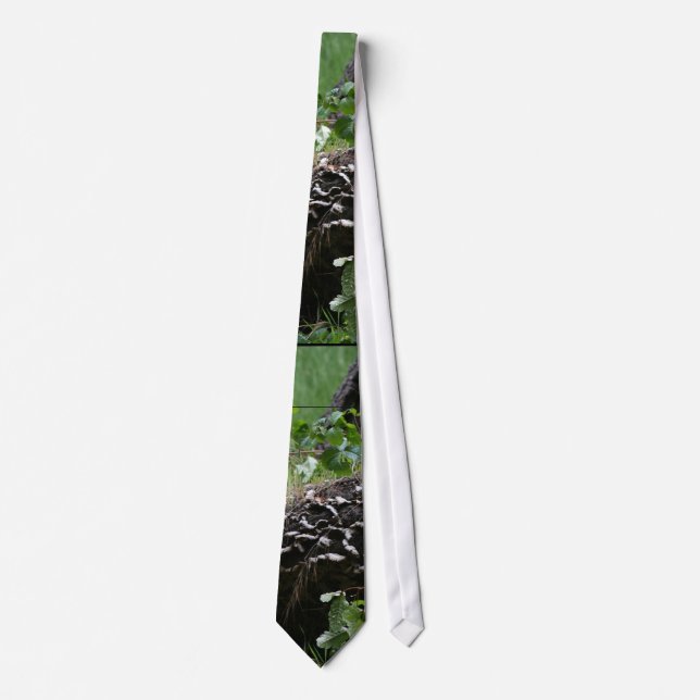 Forest Woods Leaves Trees Hiking Scenic Oregon Tie (Front)