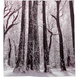 FOREST WOODS SNOWY WINTER SCENERY