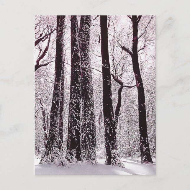 FOREST WOODS SNOWY WINTER SCENERY  POSTCARD (Front)