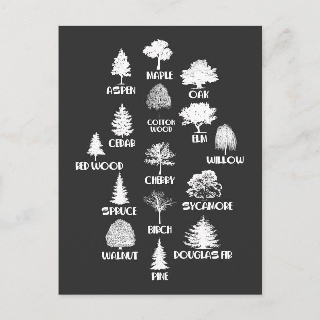 Forester Outdoor Wood Lover Tree Nature Education Postcard (Front)