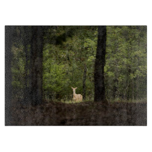 Forests   A White Tailed Deer in the Woods Cutting Board