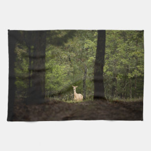 Forests A White Tailed Deer in the Woods Kitchen Towel