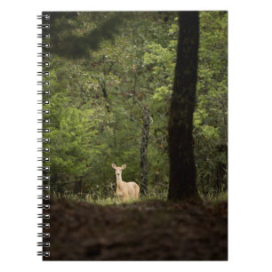 Forests A White Tailed Deer in the Woods Notebook