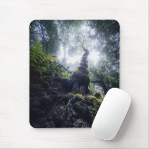 Forests   Anaga Rural Park Canary Islands Mouse Pad