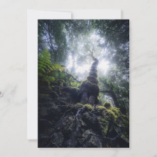 Forests Anaga Rural Park Canary Islands Thank You Card