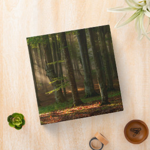 Forests   Autumn Forest Binder