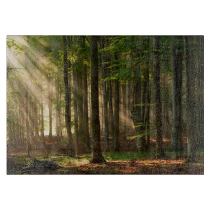Forests   Autumn Forest Cutting Board