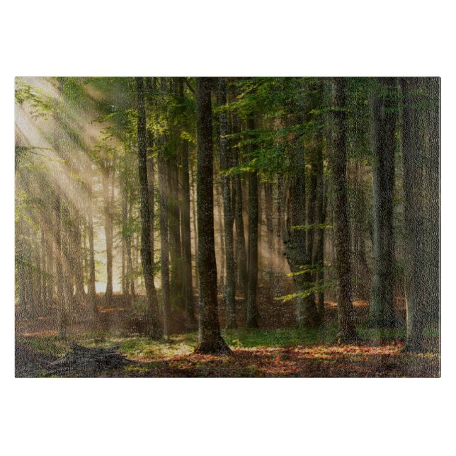 Forests | Autumn Forest Cutting Board (Front)