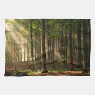 Forests   Autumn Forest Kitchen Towel