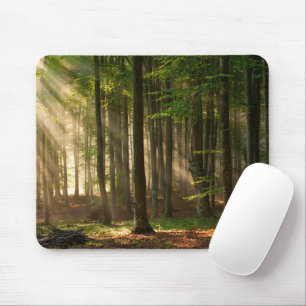 Forests   Autumn Forest Mouse Pad