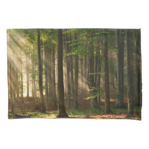 Forests Autumn Forest Pillowcase