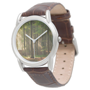 Forests Autumn Forest Watch