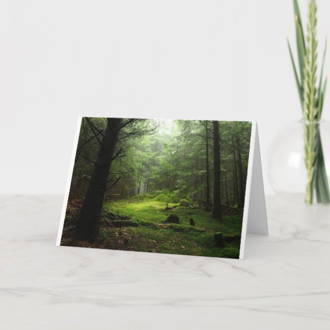 Forests | Auvergne France Card (Front)