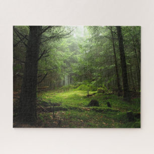 Forests Auvergne France Jigsaw Puzzle