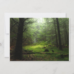 Forests Auvergne France Thank You Card