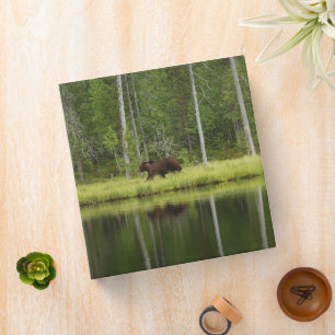 Forests Bear at Taiga Forest Northern Finland Binder