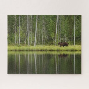 Forests   Bear at Taiga Forest Northern Finland Jigsaw Puzzle