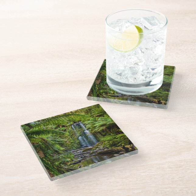 Forests | Beauchamp Falls Australia Glass Coaster (Angled)