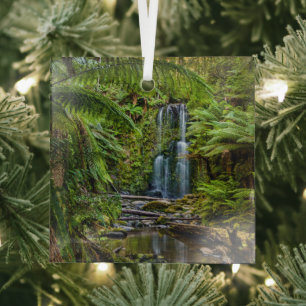 Forests Beauchamp Falls Australia Glass Ornament