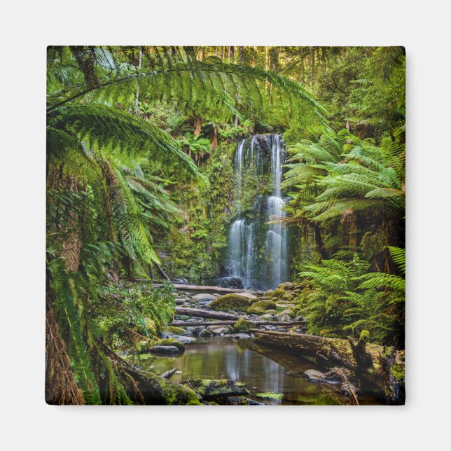Forests | Beauchamp Falls Australia Magnet (Front)