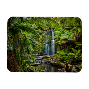 Forests Beauchamp Falls Australia Magnet