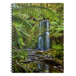 Forests Beauchamp Falls Australia Notebook