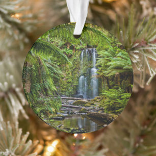 Forests   Beauchamp Falls Australia Ornament