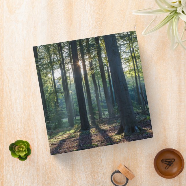 Forests | Black Forest Germany Binder (In Situ)