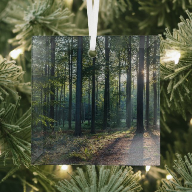 Forests | Black Forest Germany Glass Ornament (Insitu)