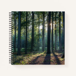 Forests   Black Forest Germany Notebook