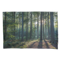 Forests | Black Forest Germany
