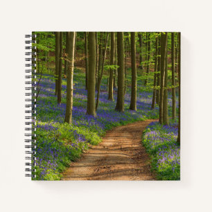 Forests Bluebell Forest in Belgium Notebook
