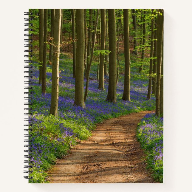 Forests | Bluebell Forest in Belgium Notebook (Front)
