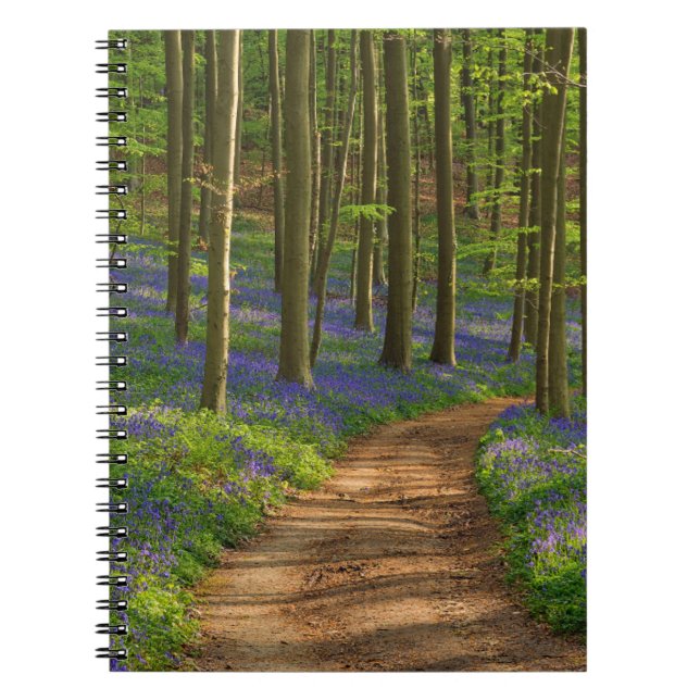 Forests | Bluebell Forest in Belgium Notebook (Front)