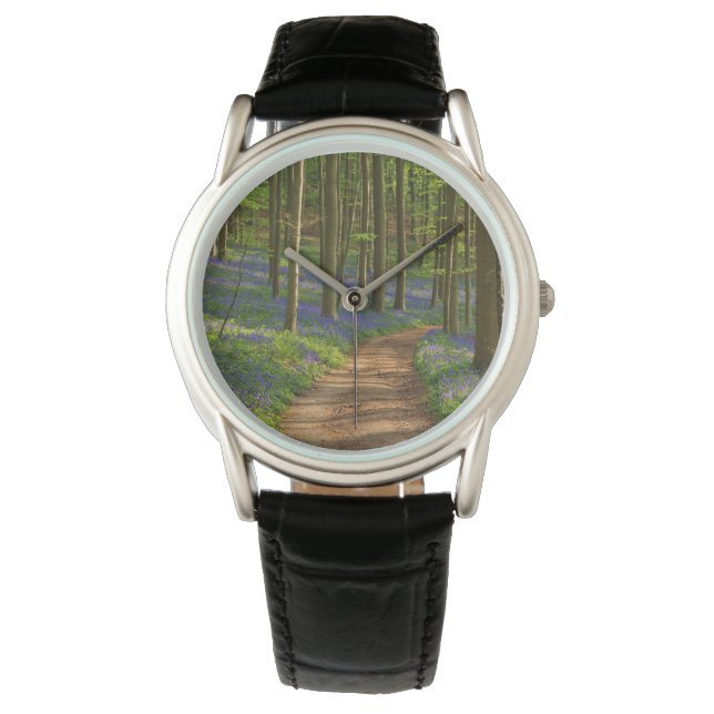Forests | Bluebell Forest in Belgium Watch (Front)