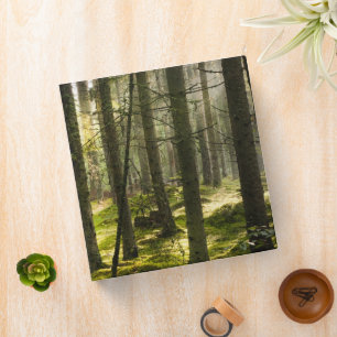 Forests   Boreal Forest Sweden Binder