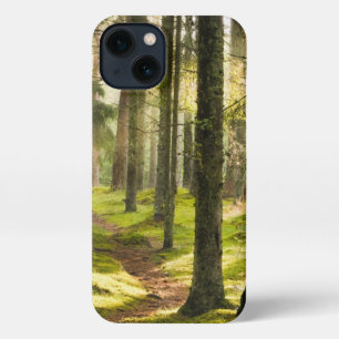 Forests Boreal Forest Sweden iPhone 13 Case
