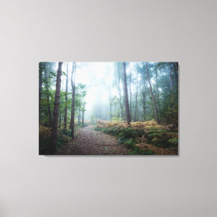 Forests Dark Foggy Woods Norfolk UK Canvas Print