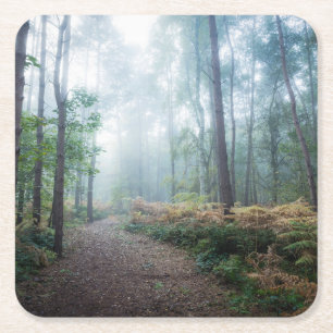 Forests Dark Foggy Woods Norfolk UK Square Paper Coaster