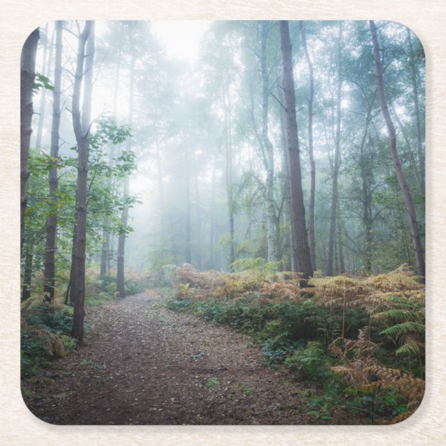 Forests | Dark Foggy Woods Norfolk UK Square Paper Coaster (Front)