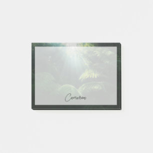 Forests   Ferns in Rainforest Post-it Notes