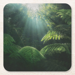 Forests   Ferns in Rainforest Square Paper Coaster