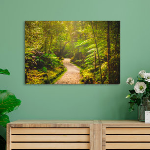 Forests   Footpath Into Forest Canvas Print