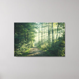 Forests Forest Path Hamburg Germany Canvas Print