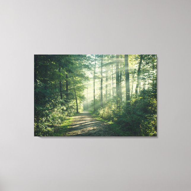 Forests | Forest Path Hamburg Germany Canvas Print (Front)