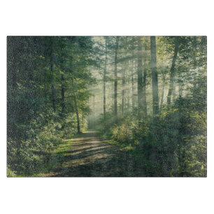 Forests Forest Path Hamburg Germany Cutting Board