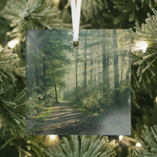 Forests | Forest Path Hamburg Germany Glass Ornament (Insitu)