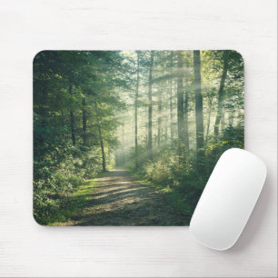 Forests   Forest Path Hamburg Germany Mouse Pad